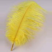 Kód: 36033 Strucctoll 55-60 cm hosszú - YELLOW